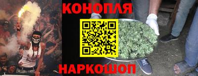 Альфа ПВП Малгобек